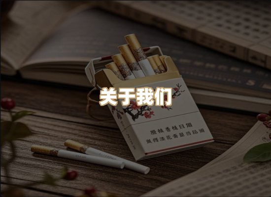 关于蓝帝网
